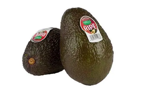 Fresh Halls Ripe AVOCADO (HALLS Box) 18PCS 4kg/CTN | 新鲜 Halls Ripe 牛油果 (HALLS Box) 18颗 4kg/箱