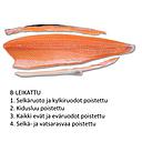F Salmon C1 Spotted salmon 1kg | F 三文鱼(C1带皮斑块三文鱼) 1kg